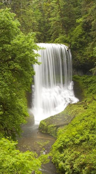 Image of waterfall in lush forest